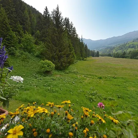 Le Petit Abri Champoluc