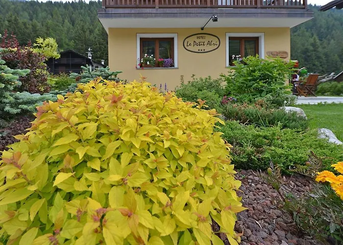 Le Petit Abri Hotel 3*