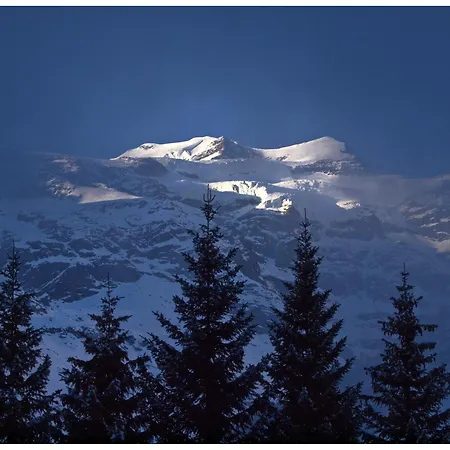 Hotel Le Petit Abri Champoluc