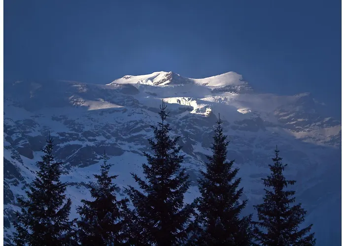 Hotel Le Petit Abri Champoluc