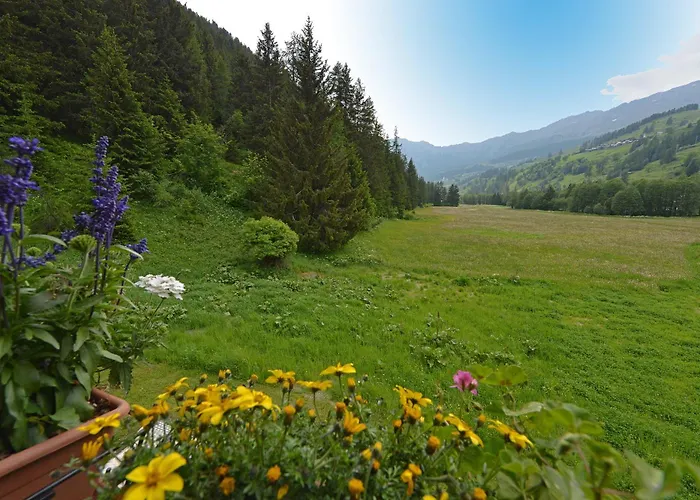Le Petit Abri Champoluc