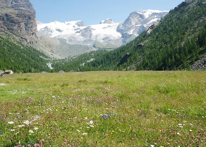 فندق Le Petit Abri