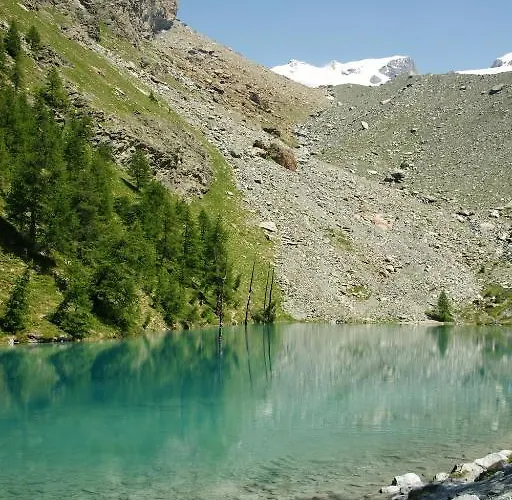 Le Petit Abri Champoluc